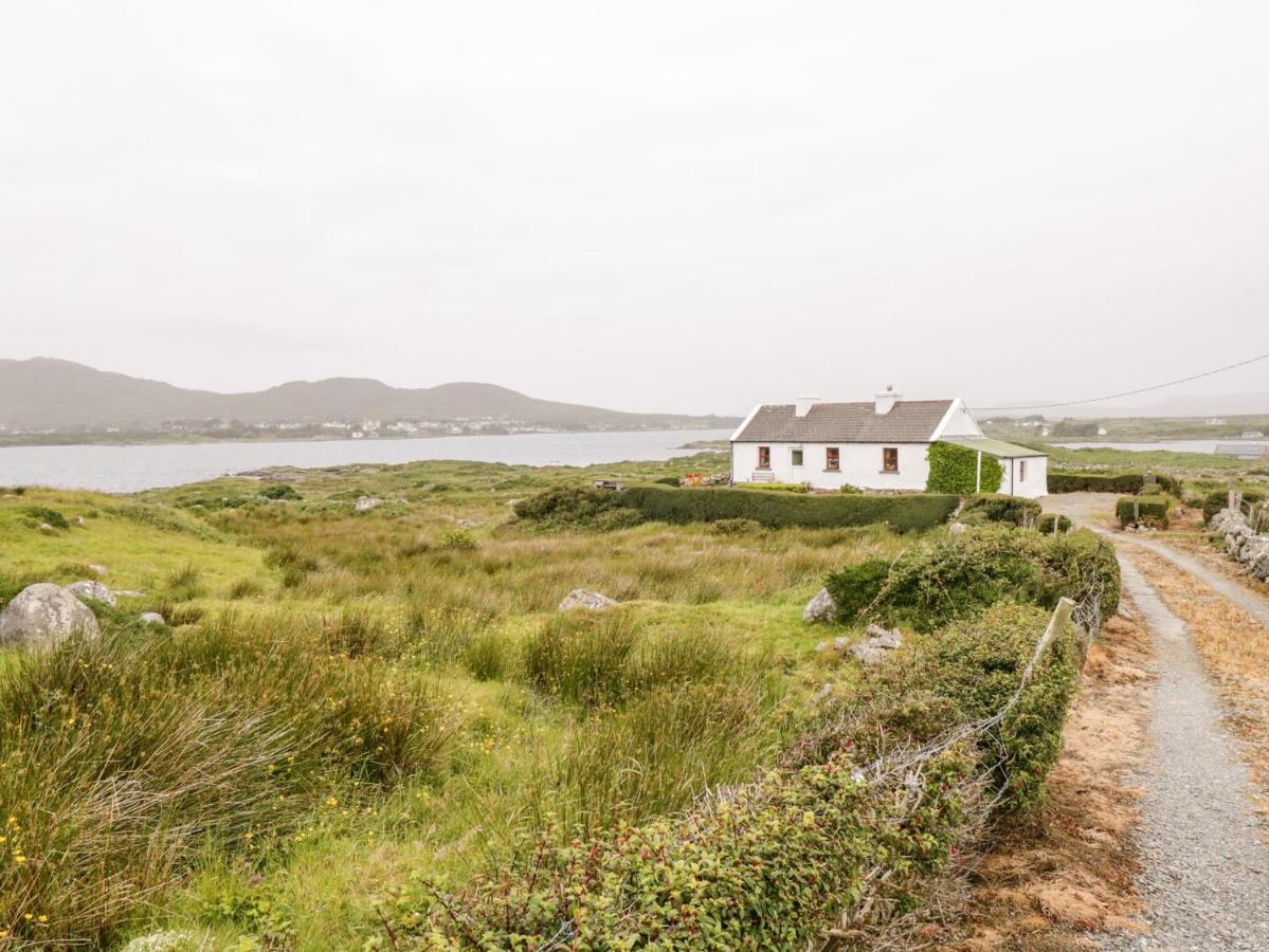 The White House Villa Roundstone Kültér fotó