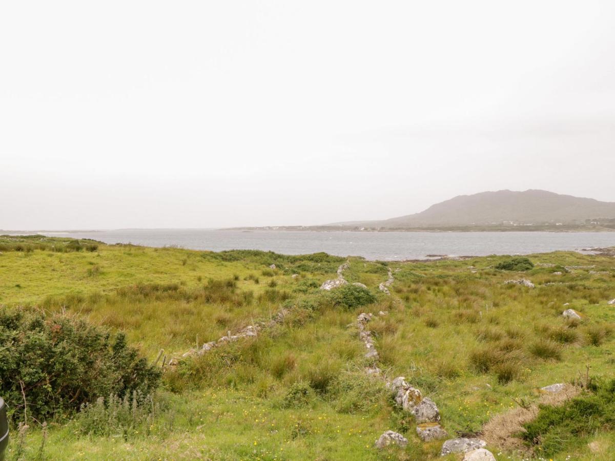 The White House Villa Roundstone Kültér fotó